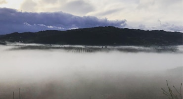 Fem superviner från Barolo