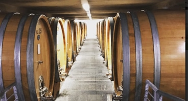 Fem toppviner från glömd pärla i Piemonte