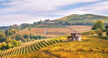 Fem spännande vita viner från Piemonte