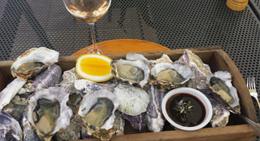 Blandviner bakom Hawke’s Bays storhet