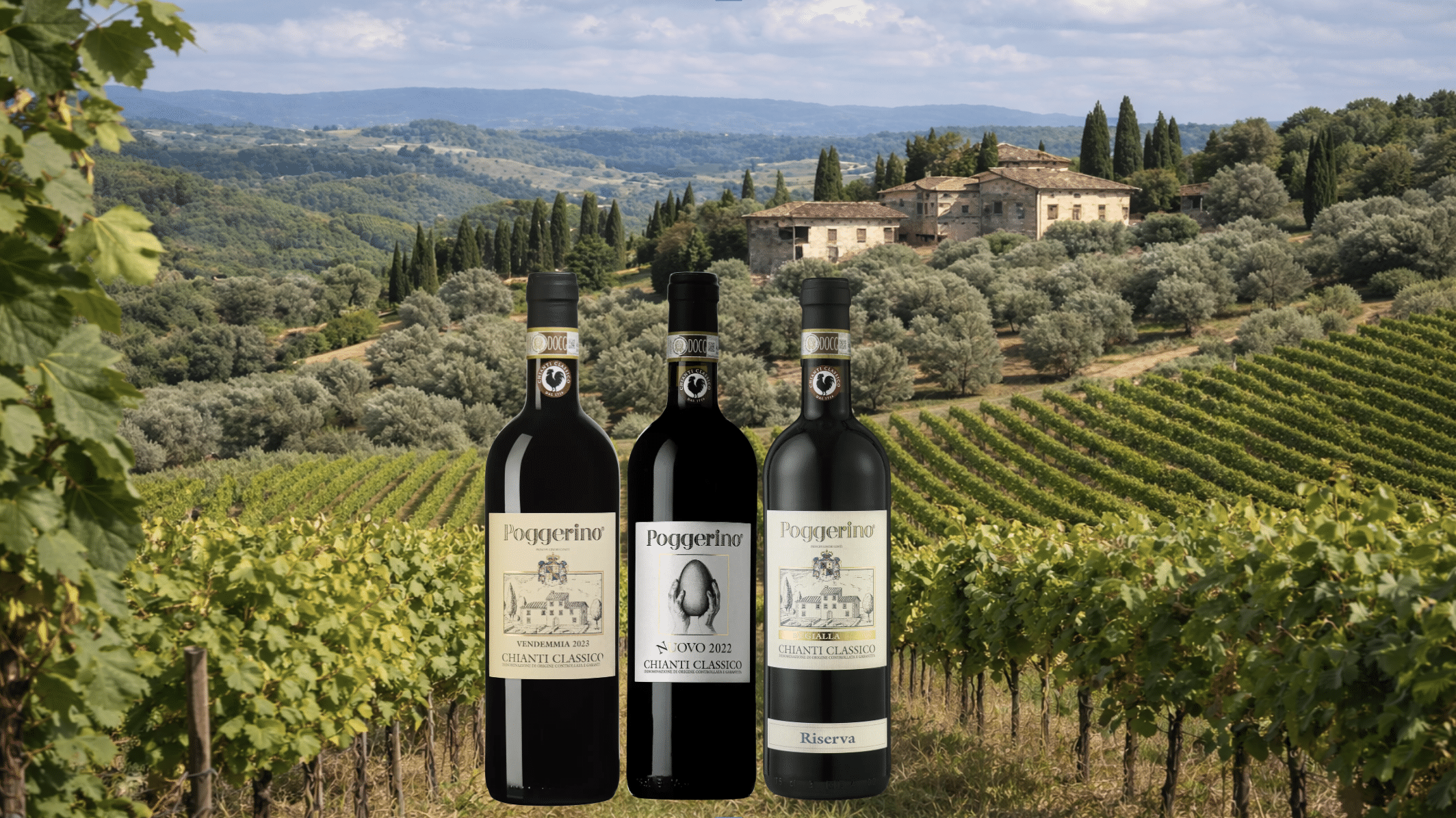 Fattoria Poggerino – biodynamisk pionjär från Toscan..