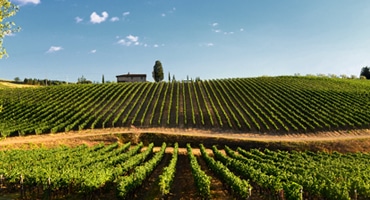 Chianti – Vad är det egentligen?