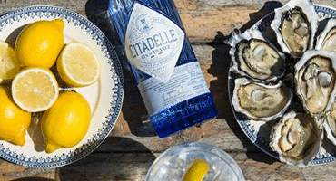 Prisbelönt fransk gin lanseras i Sverige