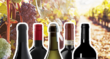 5 italienska viner våren 2019 – under 100 kron..