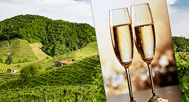 14 saker om Prosecco som många inte vet