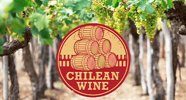 Fem okända fakta om chilenska viner