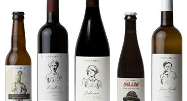 Här tillverkas Uppsalas eget vin