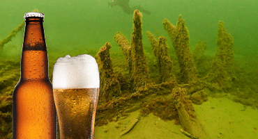 Hittade 524 år gammal dansk öl i vraket