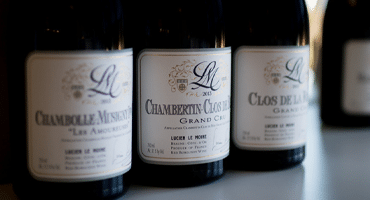 Boka snabbt – nu släpps populära viner