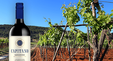 Fyndet: En äkta italienare i 1-litersflaska