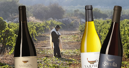 Israels viner – uppstickare som uppskattas