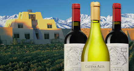 Världens mest beundrade vin – från Argentina