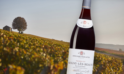 Intensivt vin från 300 år gammalt vinhus