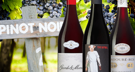 3 vintips om älskade Pinot Noir