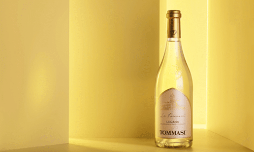 Tommasis nya vita vin: ”Italiens dolda talang&..