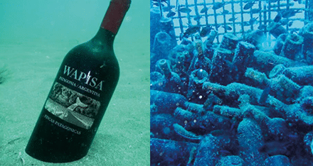 Lagrar vin i havet – ”ska åldras snabbar..