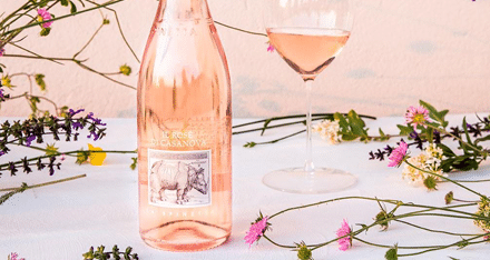 Hyllade italienaren Casanova vill förföra dig i somm..