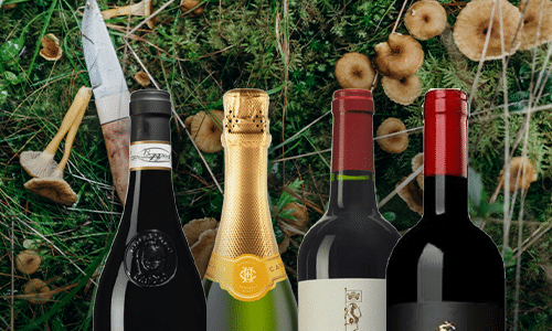 Bästa vinerna till höstens svamprätter