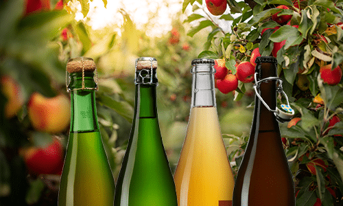 Tips på must till Äppelmustens Dag