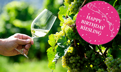 Hyllade tyska vinet fyller 586 år