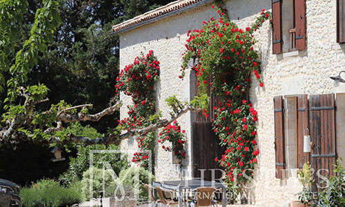 Magnifika vingården blir din till vrakpris