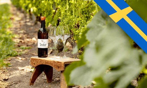 Medaljregn över svenska viner: ”Otrolig utveckling”..