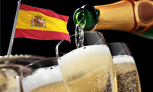 7 saker många inte visste om cava