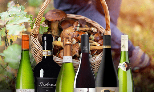 Svamp är en perfekt smakbrygga till vin