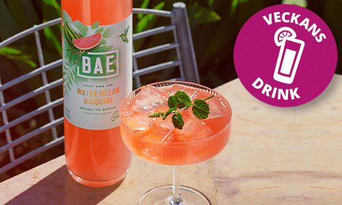 Veckans drink: Watermelon Daiquiri