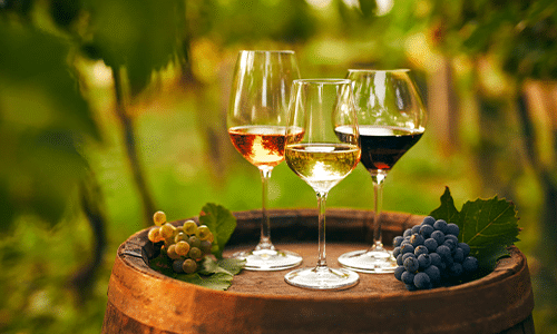 10 udda fakta du inte visste om vin