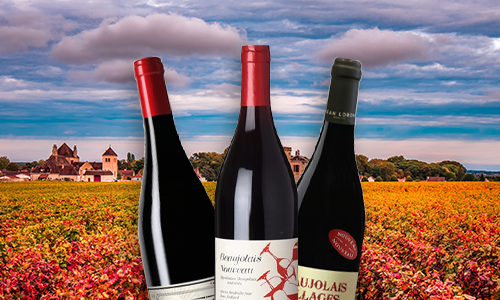 Premiär: Nu kommer Beaujolais Nouveau 2021