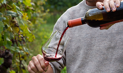 Ja till gårdsförsäljning i ny utredning