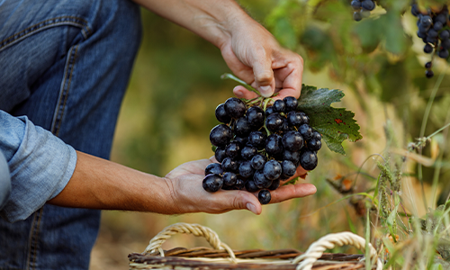 Vad händer med gårdsförsäljningen?