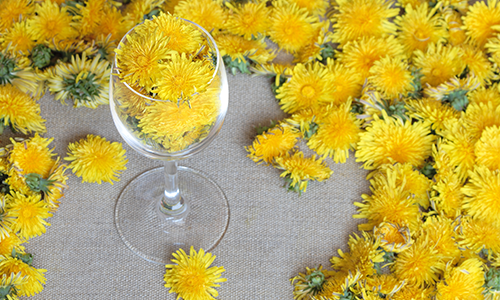 Maskrosvinet gör comeback