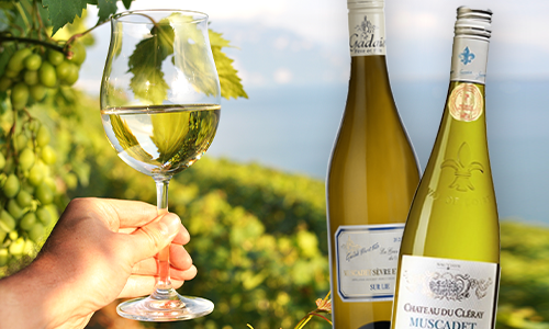 Varför står det Sur Lie på flaskan?