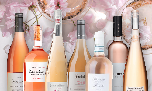 Vårens stora guide till årets roséviner