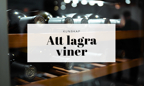 Fem tips på hur du ska förvara dina viner