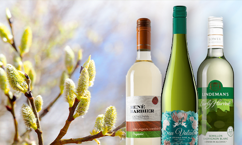 Fånga våren med ett vindlätt vin