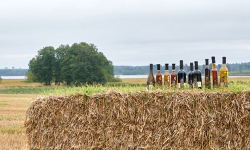 Besök svenska vingårdar i sommar