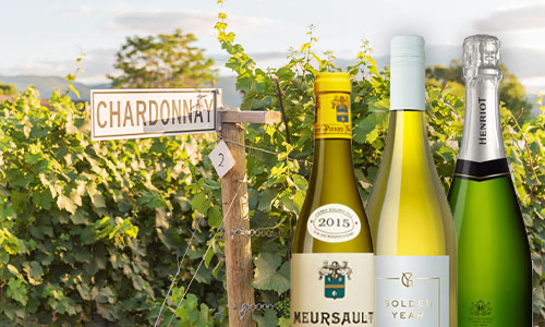 Chardonnay – en druva med många skepnader