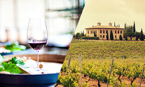 Vindistriktet Rioja – hemmet för Spaniens berö..