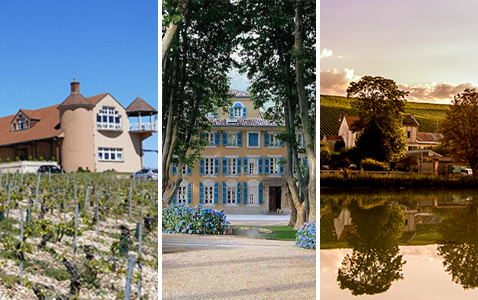 8 fantastiska franska vingårdar att besöka i sommar