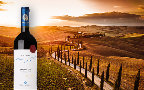 Ikoniska viner från vindistrikten i Toscana