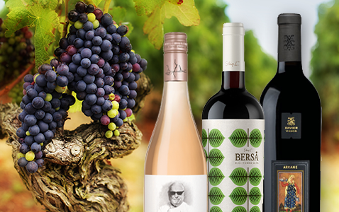 Grenache – druvan som odlas i hela världen