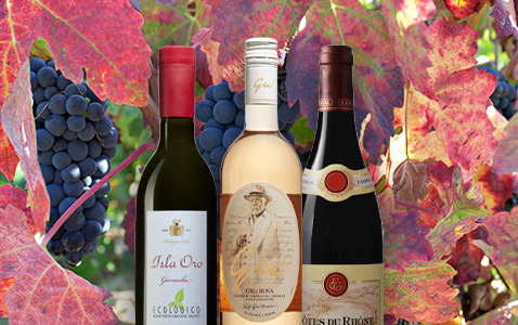 Gör dig redo för Grenache