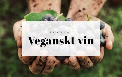5 fakta du inte visste om veganskt vin