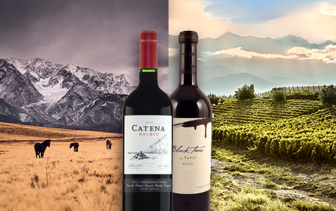 Mendoza – där torka och höjd gör vinodlingen unik