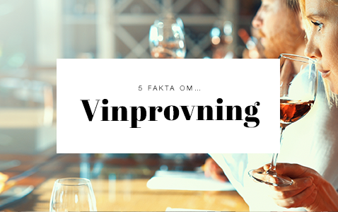 5 saker du inte visste om vinprovning