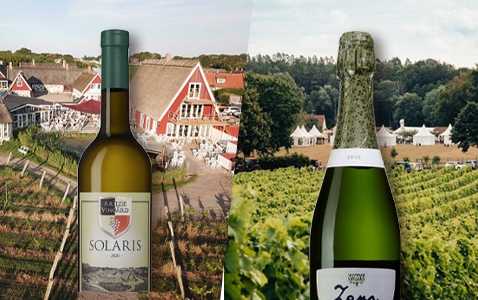 Solaris – en druva för nordiskt klimat