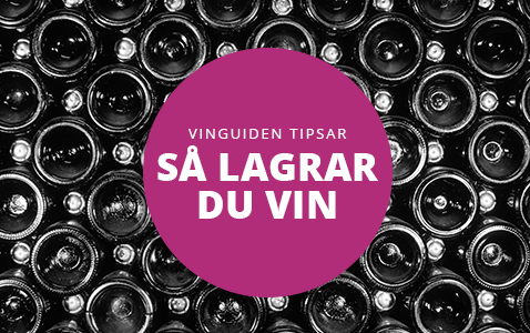Vinguiden tipsar – så lagrar du vin